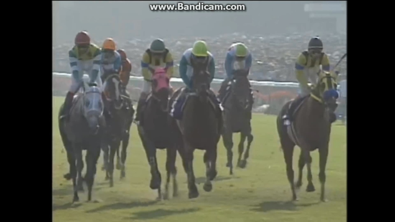 1997年 秋華賞優勝 単勝式 現地馬券 メジロドーベル 1997 秋華賞 (GⅠ) メジロドーベル - ニコニコ動画