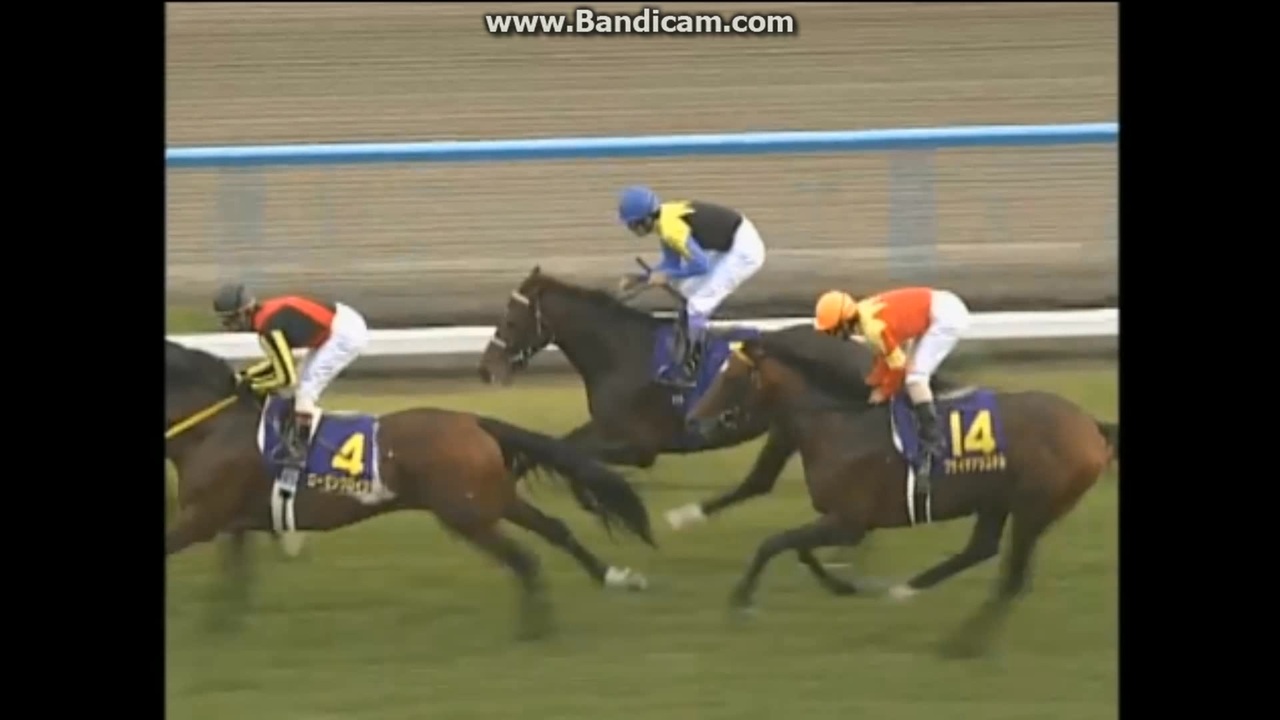 2005 菊花賞 ディープインパクト - ニコニコ動画