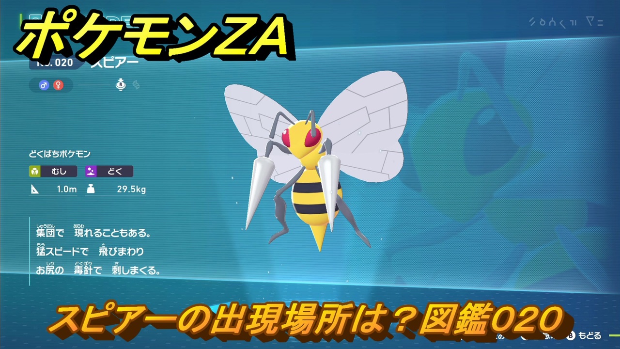 ポケモンZA スピアーの出現場所は？図鑑020 ＃195 【Pokémon