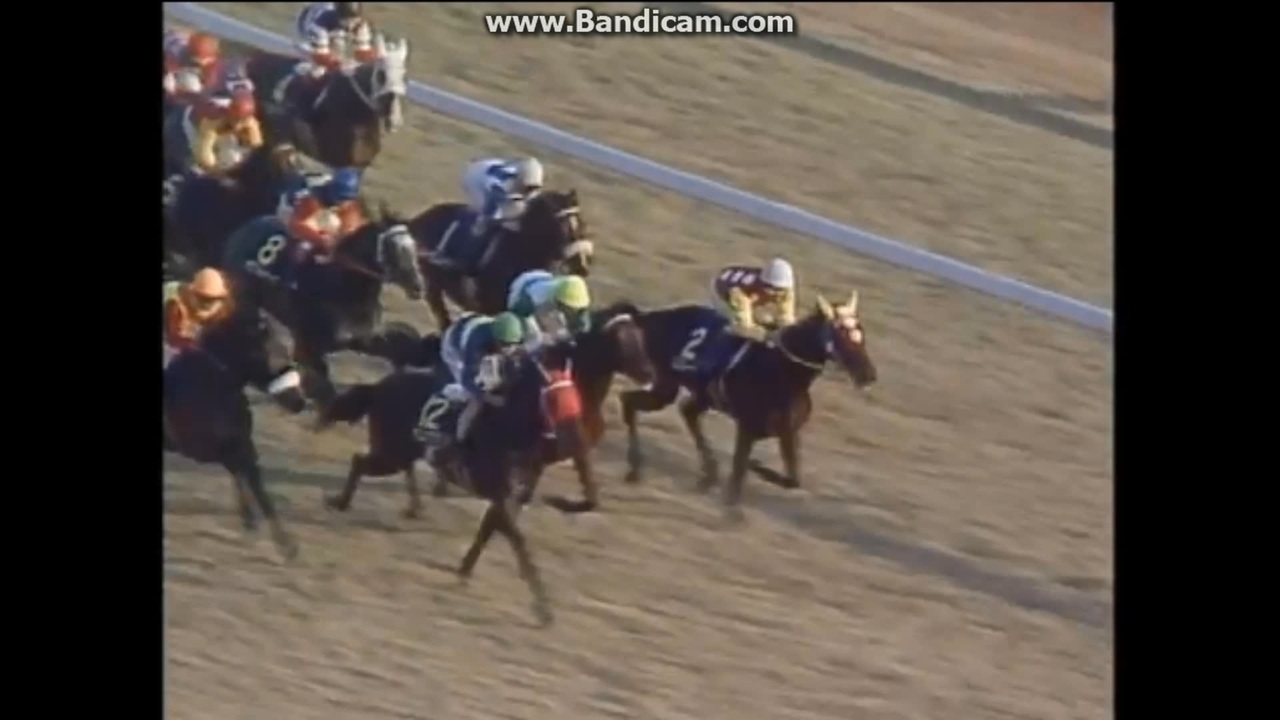 1988 ジャパンカップ (GⅠ) ペイザバトラー JAPAN CUP G1 Pay the Butler - ニコニコ動画