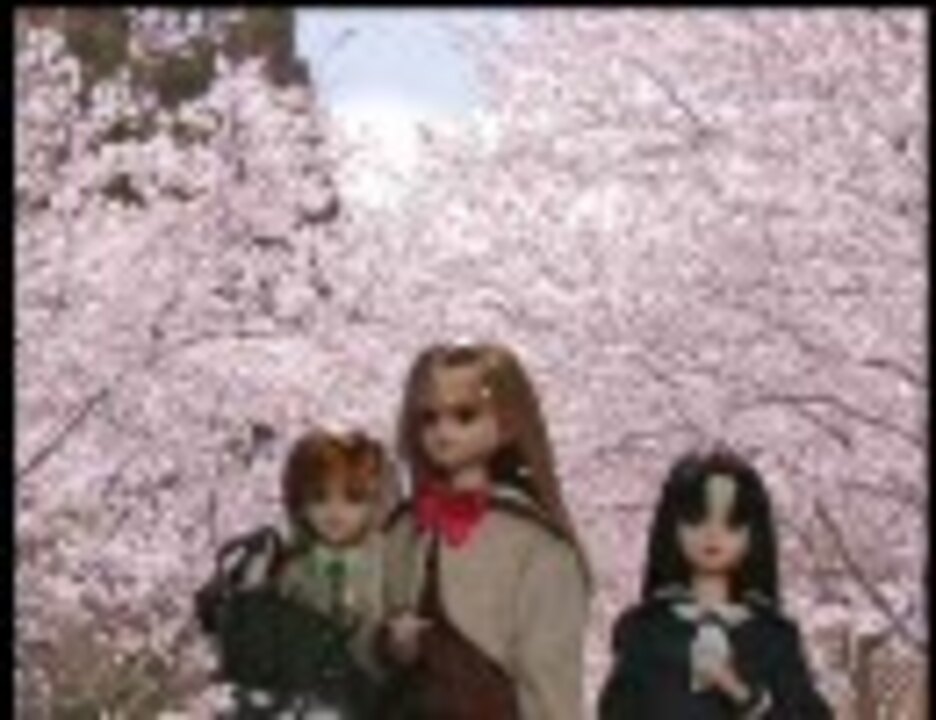 人気の かわいいジェニー 動画 34本 ニコニコ動画