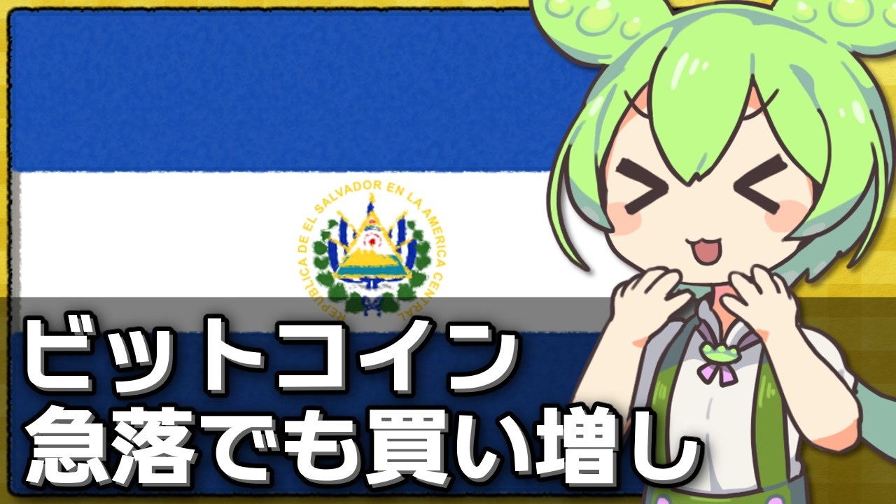 ビットコインが急落中もエルサルバドルは買い増し中です - ニコニコ動画