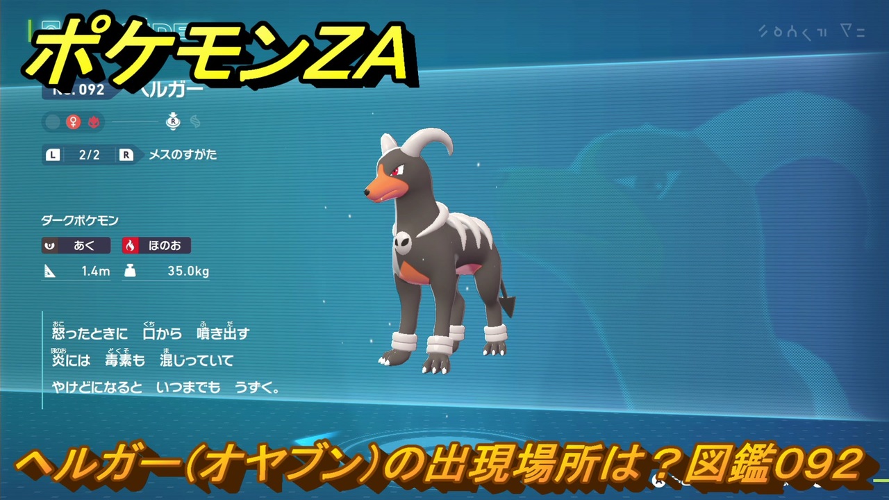 ヘルガー ★ ポケモンZA ヘルガー（オヤブン）の出現場所は？図鑑092 ＃436
