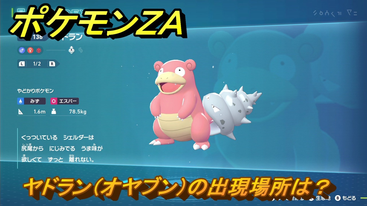 ヤドランの井戸さん専用 ポケモンZA ヤドラン（オヤブン）の出現場所は？図鑑138 ＃454