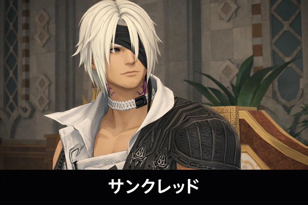 FF14】サンクレッド 登場シーン集｜紅蓮のリベレーター - ニコニコ動画