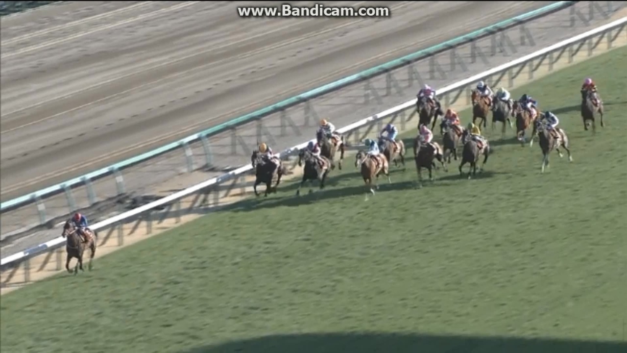 2022 中山記念 (GⅡ) パンサラッサ - ニコニコ動画