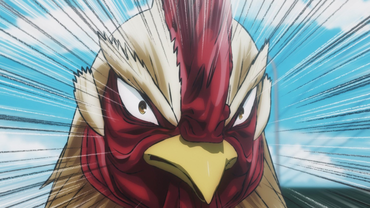 ニワトリ・ファイター 1羽「群鶏一鶴」