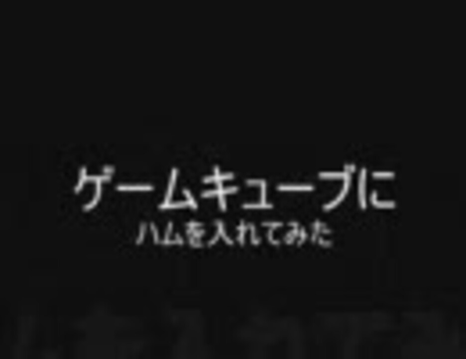 ゲームキューブにハムを入れてみた ニコニコ動画