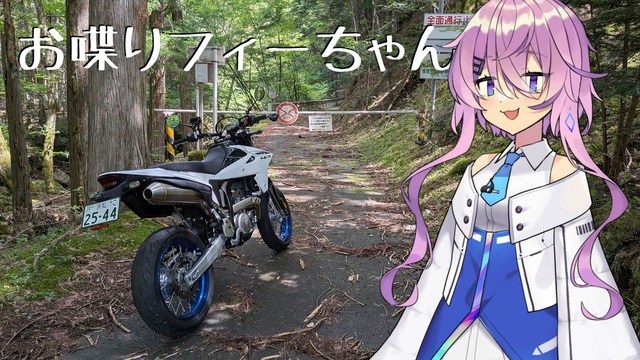 ニコニコ動画