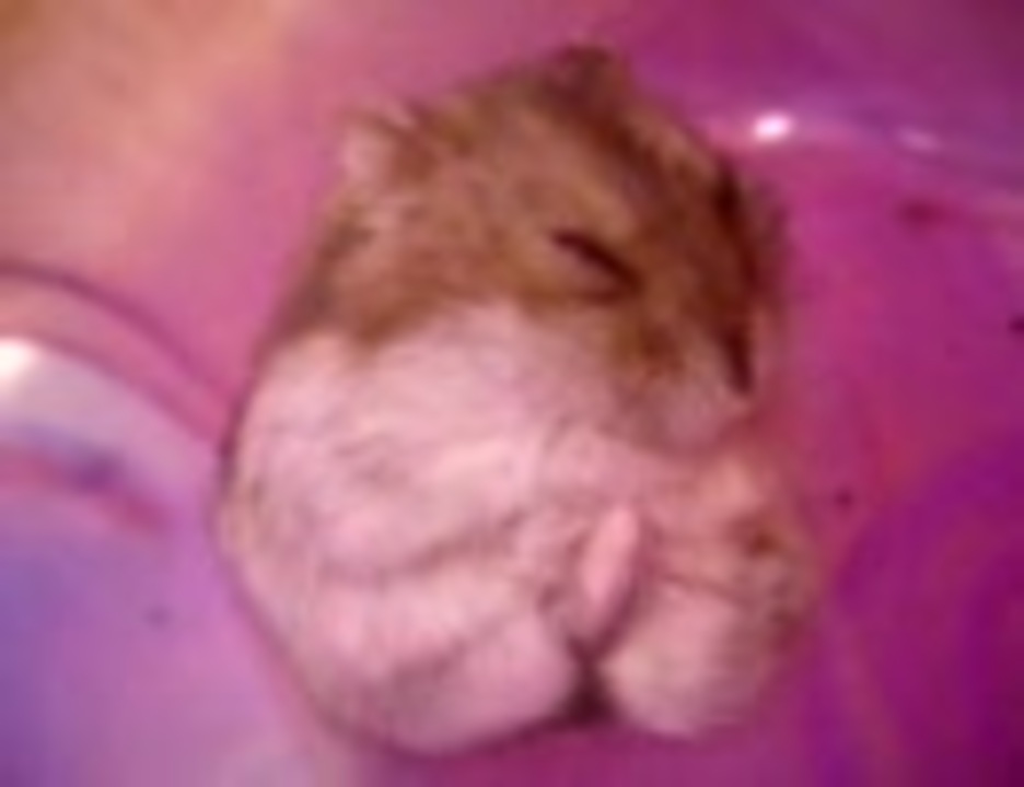 人気の ジャンがリアン 動画 2 006本 14 ニコニコ動画