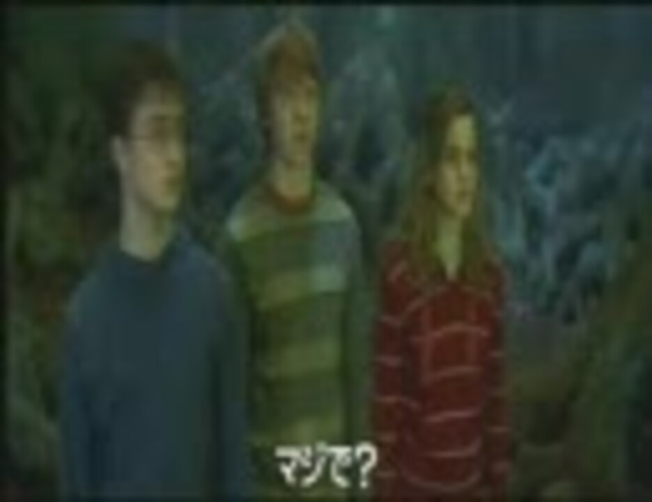 人気の ハリーポッターと不死鳥の騎士団 動画 6本 ニコニコ動画