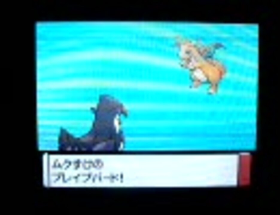 ポケットモンスタープラチナ Vs手加減クロツグ 21戦目 ニコニコ動画