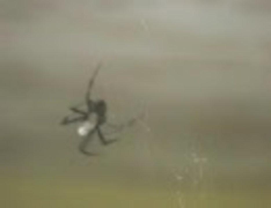 人気の 紙魚 動画 18本 ニコニコ動画