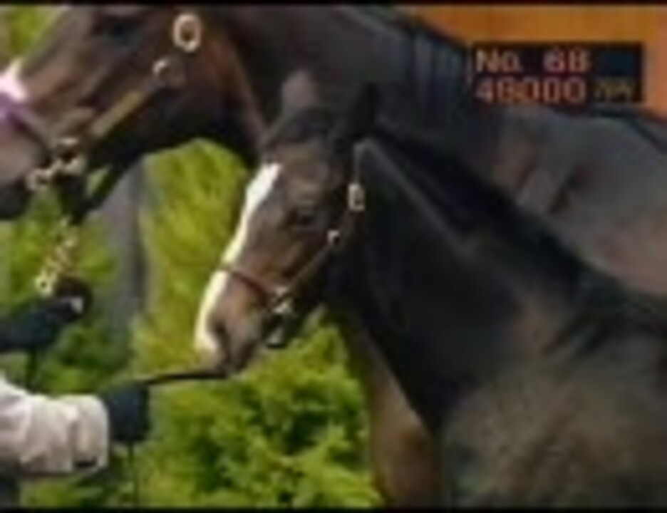 人気の 関口房朗 動画 6本 ニコニコ動画