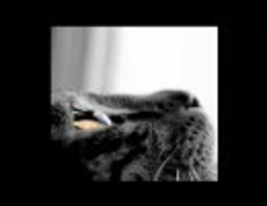 人気の 音楽 ディズニー音楽集 動画 1 062本 5 ニコニコ動画