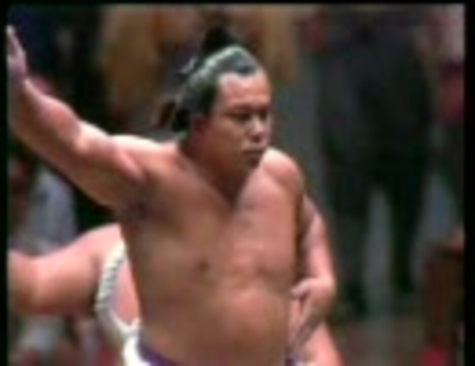 千代の富士の横綱土俵入り ニコニコ動画