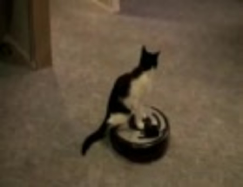 人気の ルンバ 猫 動画 35本 ニコニコ動画