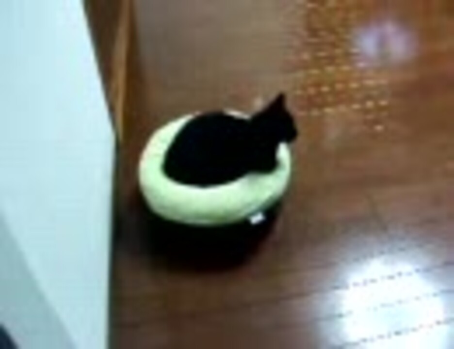 人気の ルンバ 猫 動画 37本 ニコニコ動画