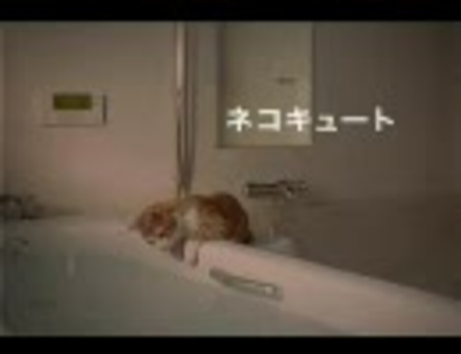 人気の 中部電力 動画 56本 ニコニコ動画