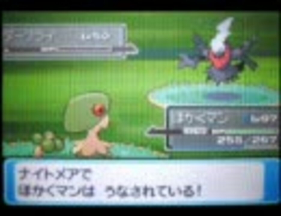 ポケットモンスター プラチナ メンバーズカード配布2 2008 12 01