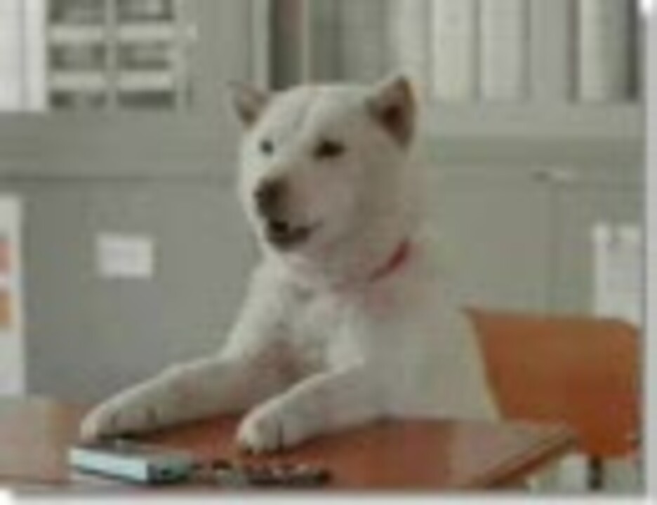 人気の お父さん犬 動画 21本 ニコニコ動画