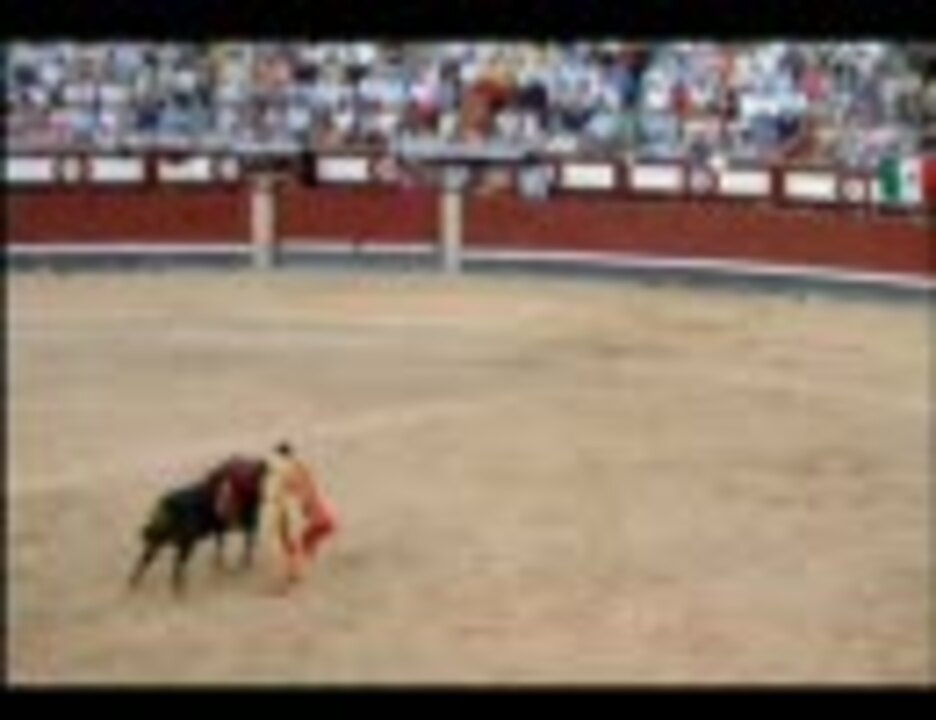 動画 徳之島 闘牛 【旅行記】スペインで見た闘牛が残酷すぎて大ショック…途中で闘牛場を抜け出す結果に