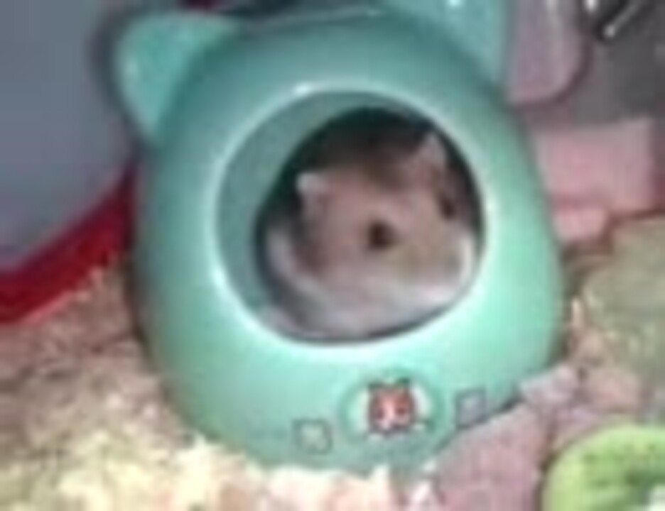 人気の ジャンがリアン 動画 2 006本 14 ニコニコ動画