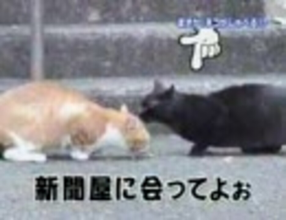 人気の しゃべる動物シリーズ 動画 11本 ニコニコ動画