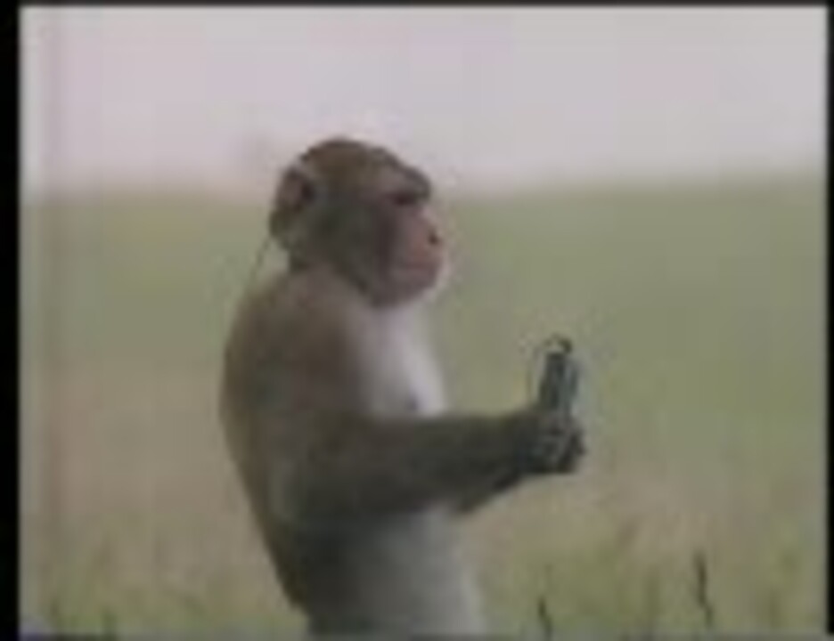 人気の チョロ松 動画 1 579本 11 ニコニコ動画