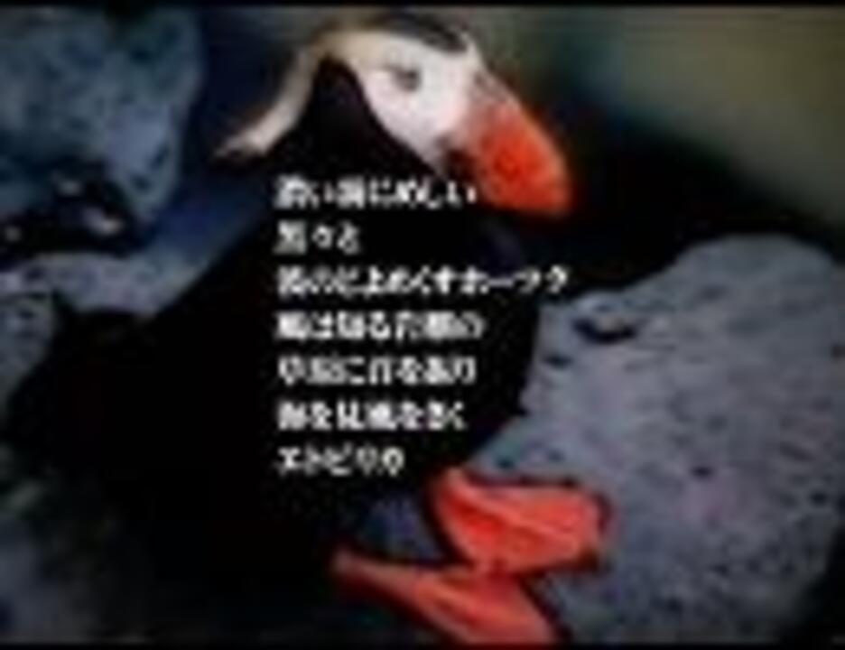 人気の 合唱曲 エトピリカ 動画 4本 ニコニコ動画