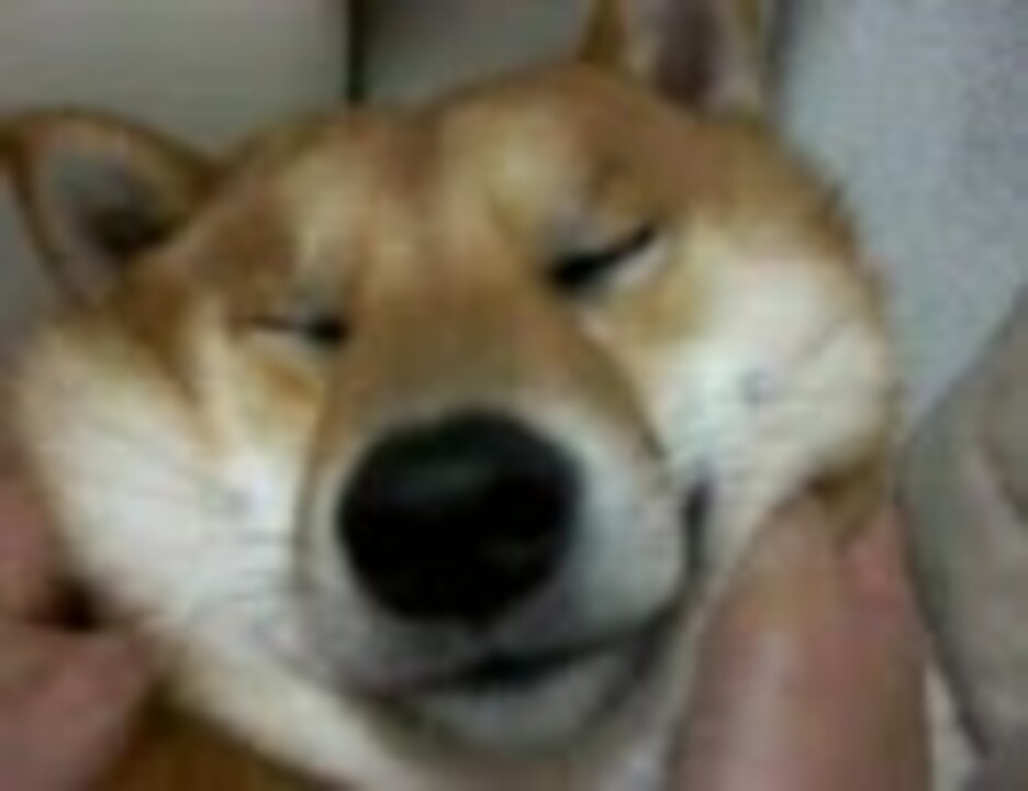 人気の ｱﾝﾊﾟﾝﾏﾝ 動画 2 317本 30 ニコニコ動画