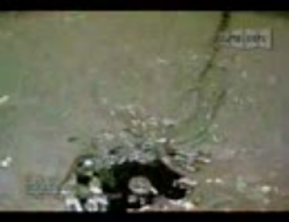 Cornelius - Drop - ニコニコ動画