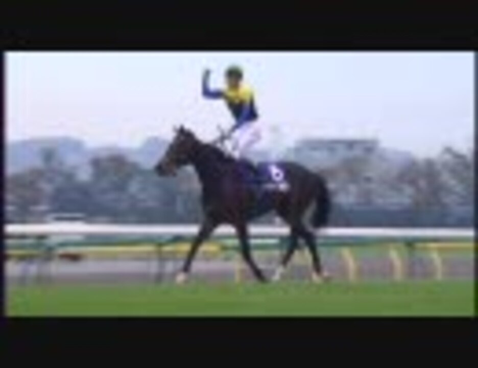 【競馬】 2006 ジャパンカップ ディープインパクト 【ちょっと盛り】