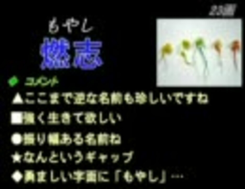 人気の Dqnネーム 動画 184本 ニコニコ動画