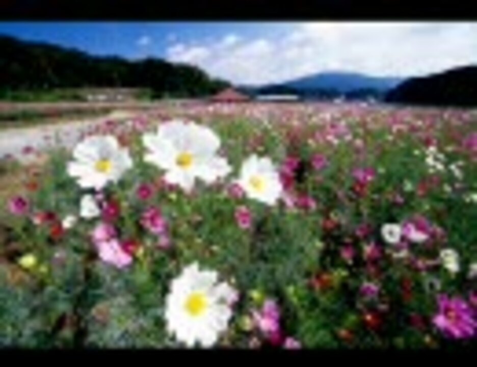 Web site image