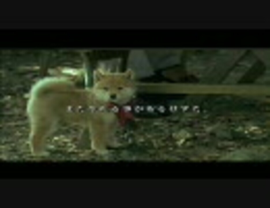 人気の Cm 犬 動画 72本 ニコニコ動画
