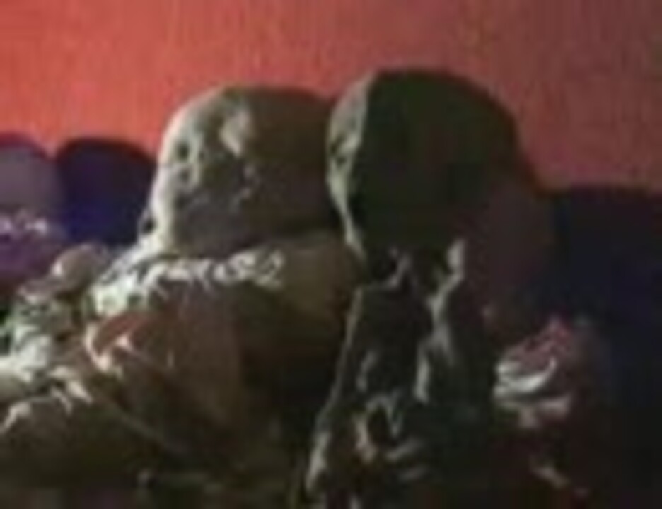 人気の メキシコ グロ注意 動画 5本 ニコニコ動画