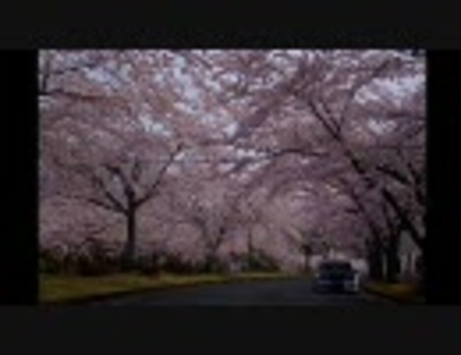 ２００９年 ４月１２日 静岡県 富士桜自然墓地公園 ニコニコ動画