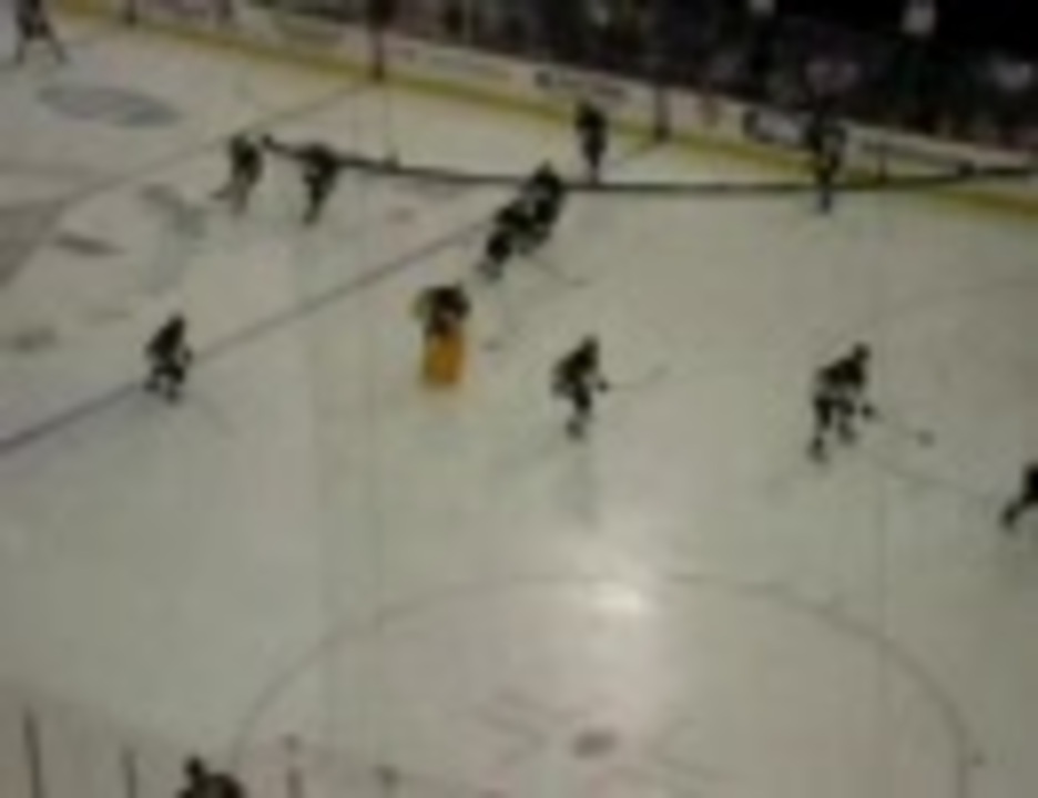 人気の Nhl 動画 140本 ニコニコ動画