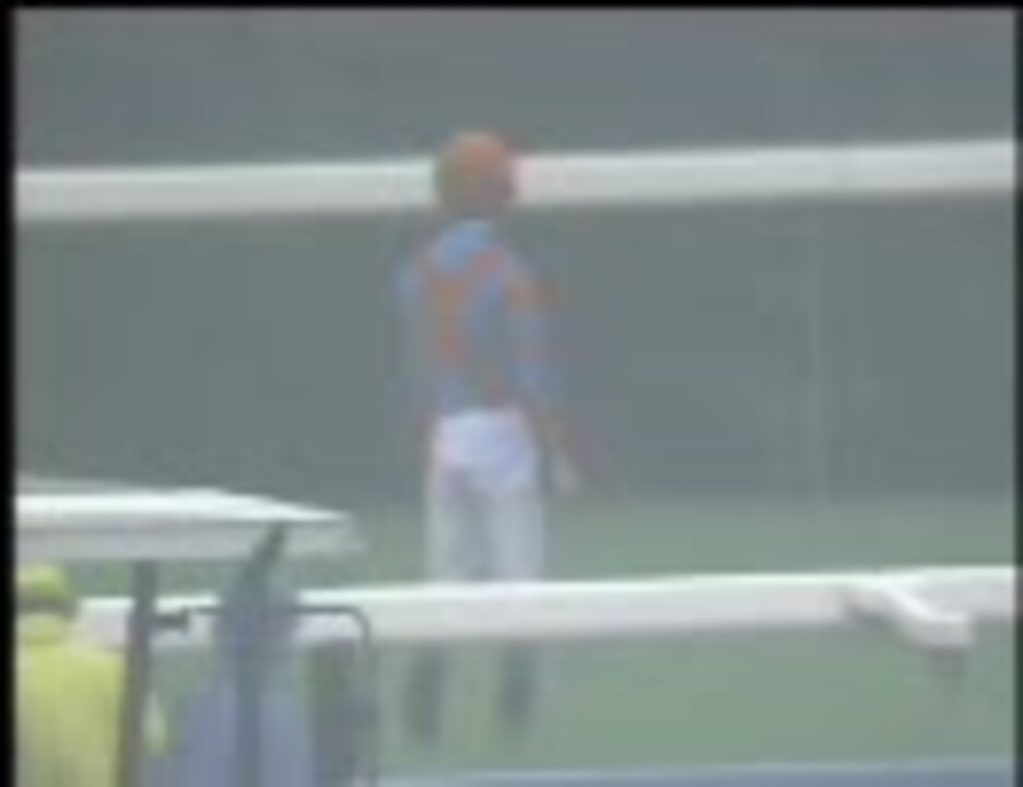 2002年 第63回 菊花賞(GⅠ) ノーリーズン落馬 - ニコニコ動画