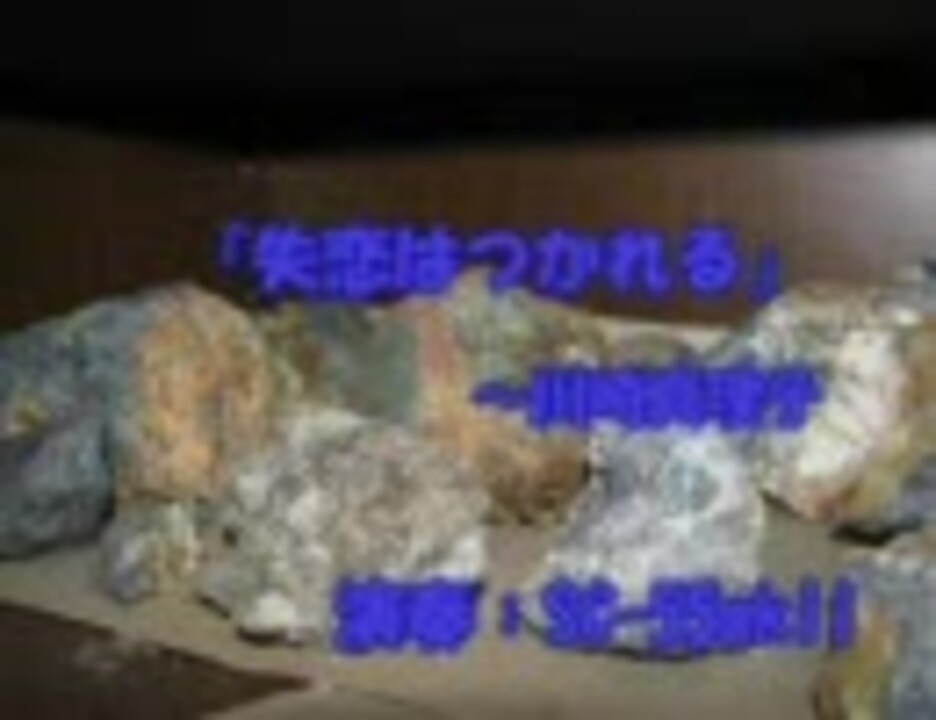 人気の 川崎真理子 動画 4本 ニコニコ動画