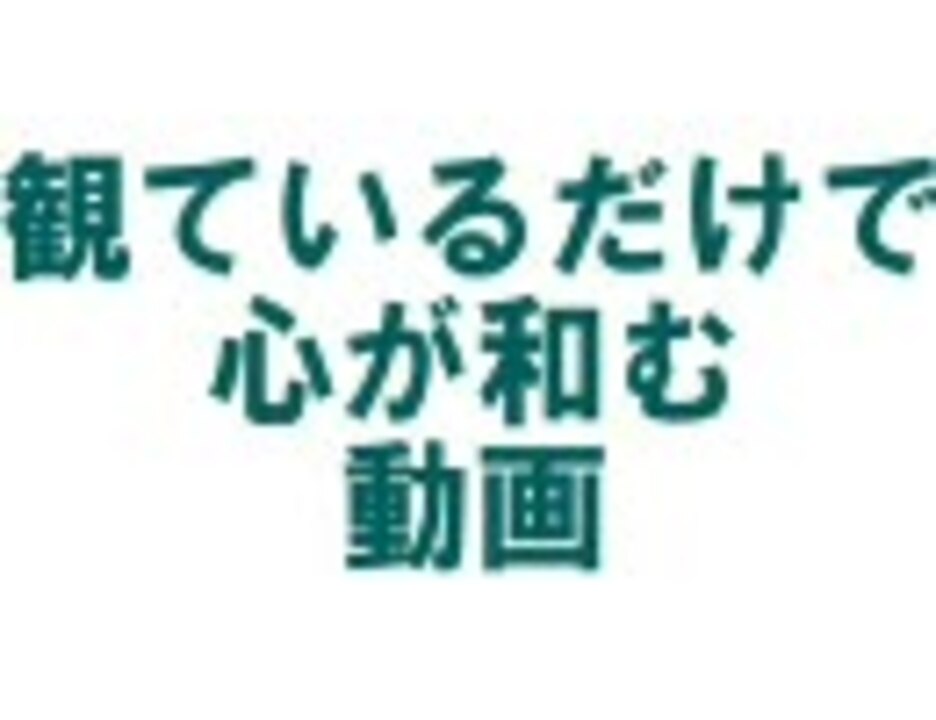 観ているだけで心が和む動画 ニコニコ動画