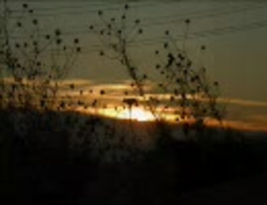 人気の ゆるぽ 動画 17本 ニコニコ動画