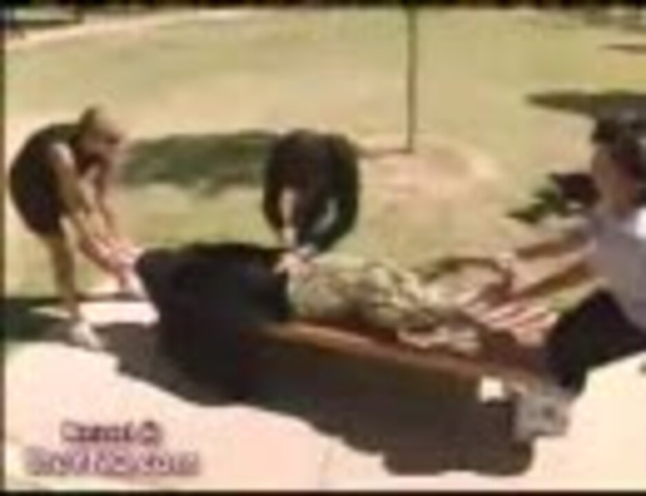 ｸﾞﾛ注意 マジック胴体切断 ぇっ ニコニコ動画