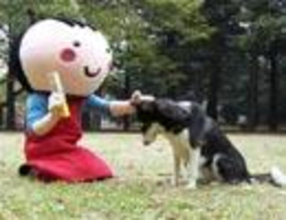 人気の ネギとクレラップとキチントさんと女の子 動画 13本 ニコニコ動画