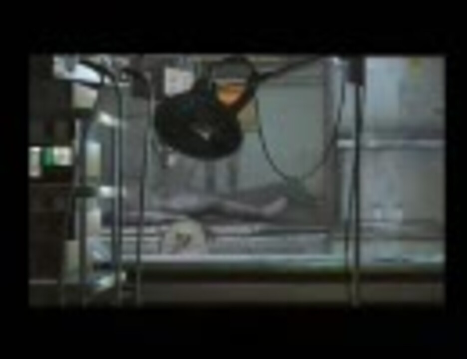ふにゃ声でバイオハザード4を実況 その25 ニコニコ動画