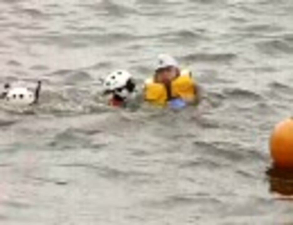 人気の 特殊救難隊 動画 9本 ニコニコ動画