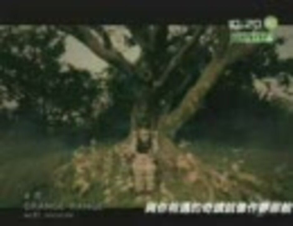 人気の カラオケ 花 動画 16本 ニコニコ動画