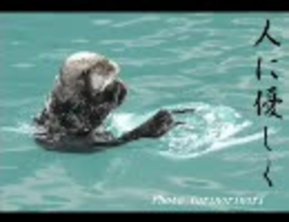 人気の 動物 らっこ 動画 98本 ニコニコ動画