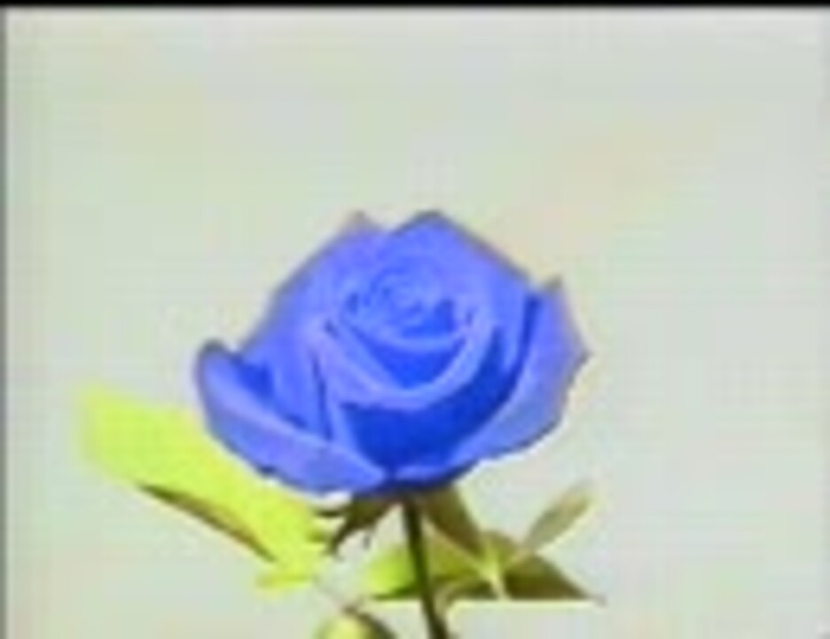 Glay 春を愛する人 ニコニコ動画